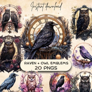Raven + uil emblemen clipart (20 png's), aquarel magisch wezen kunst, mythische sprookjesafbeelding, fantastisch dier plakboek, mystiek symbool
