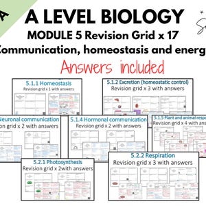 Könnte beinhalten: A Level Biologie Modul 5 Revisionsraster-Set. Das Bild zeigt mehrere Revisionsraster, die Themen wie Homöostase, Ausscheidung und Atmung abdecken. Der Text enthält "Answers included" und "OCR A".