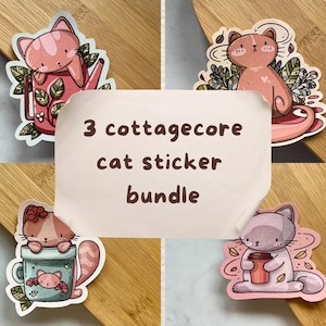 Paquete de 3 pegatinas de gatos Cottagecore / Paquete de tres pegatinas estéticas acogedoras / Calcomanía troquelada de vinilo Elija sus diseños extravagantes favoritos