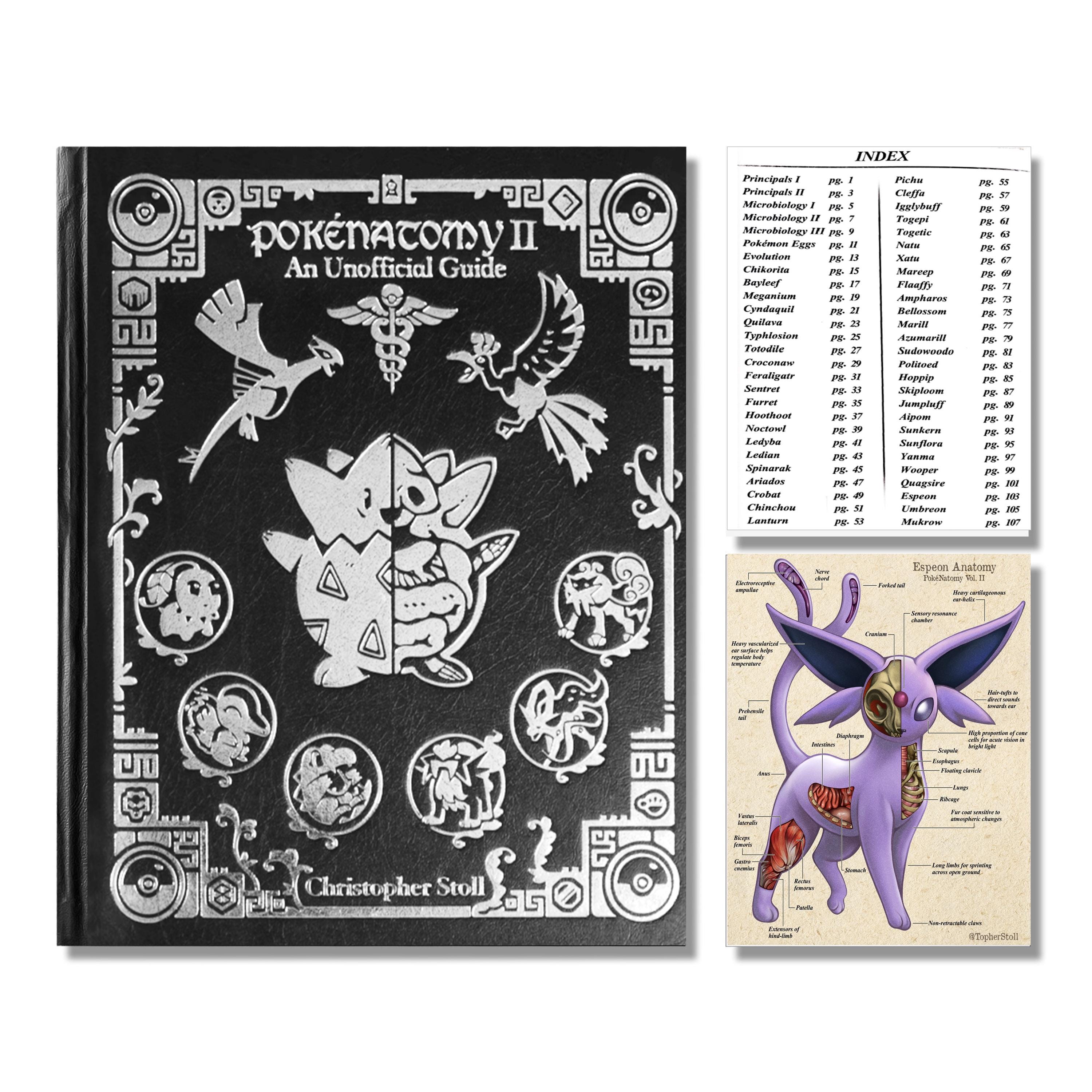 Pokemon Pokenatomy 2 Unofficial Guide Book Pokemon Gifts Pokemon