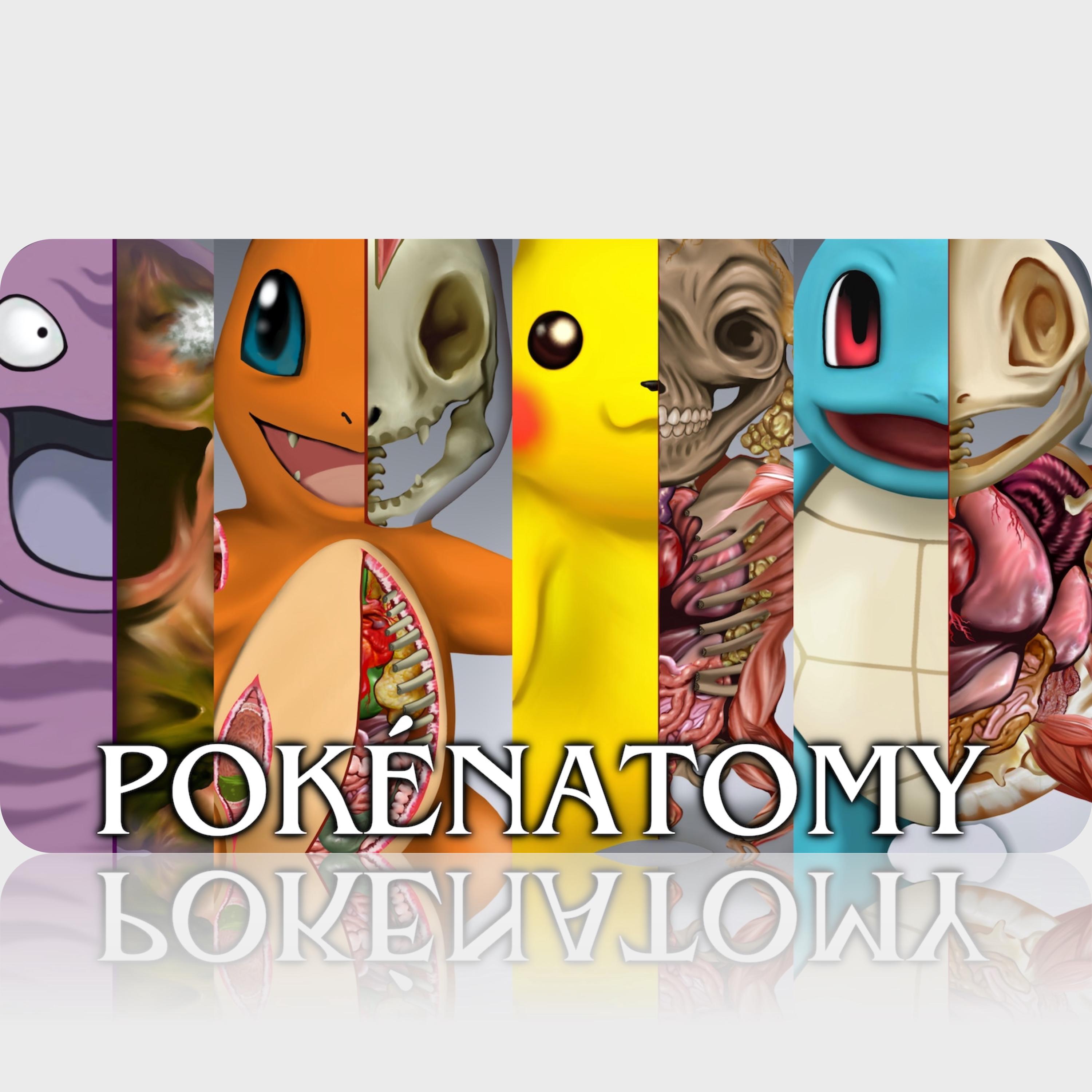 Pokemon Pokenatomy 2 Unofficial Guide Book Pokemon Gifts Pokemon
