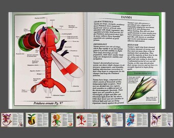 Pokemon Pokenatomy 2 Unofficial Guide Book Pokemon Gifts Pokemon