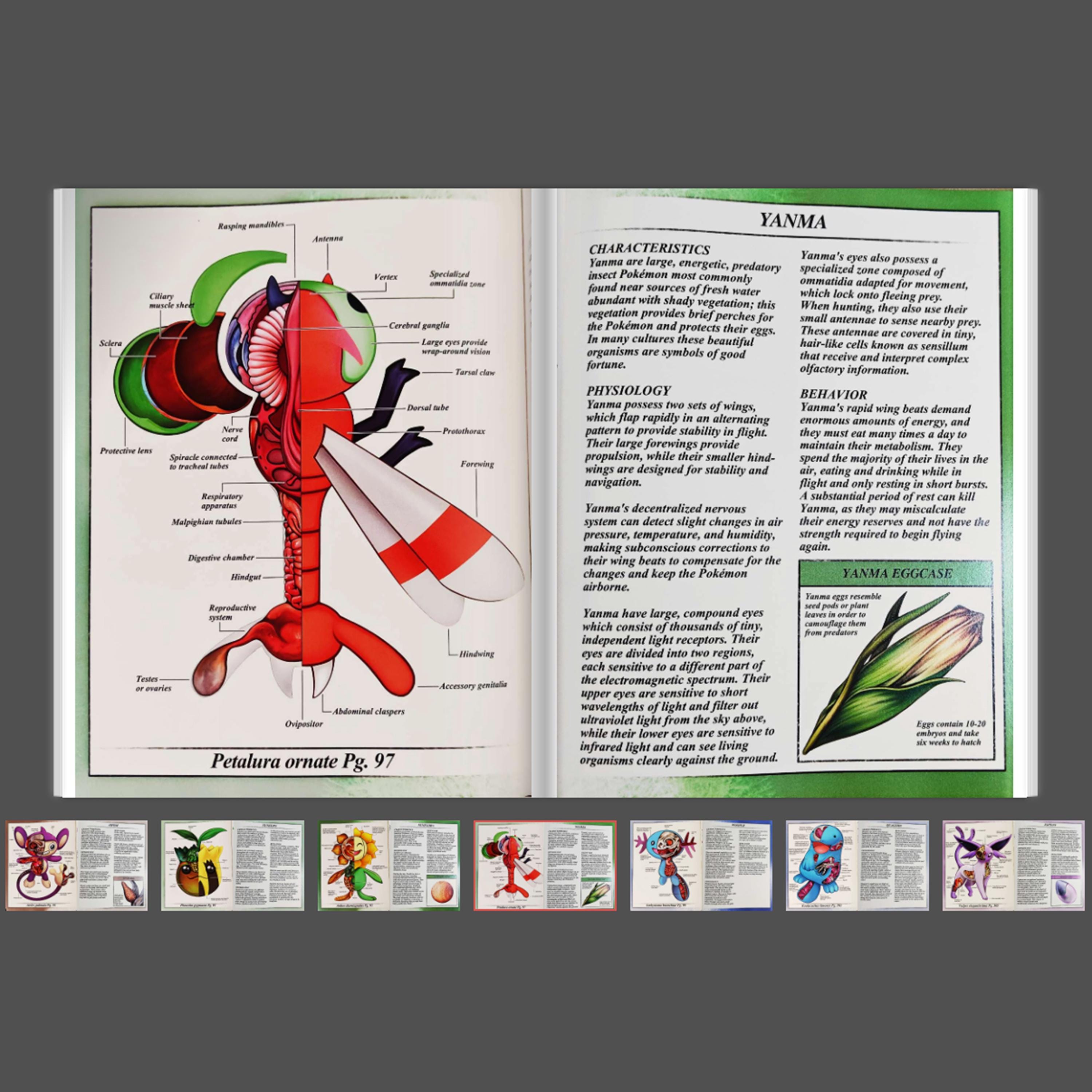 Pokemon Pokenatomy 2 Unofficial Guide Book Pokemon Gifts Pokemon