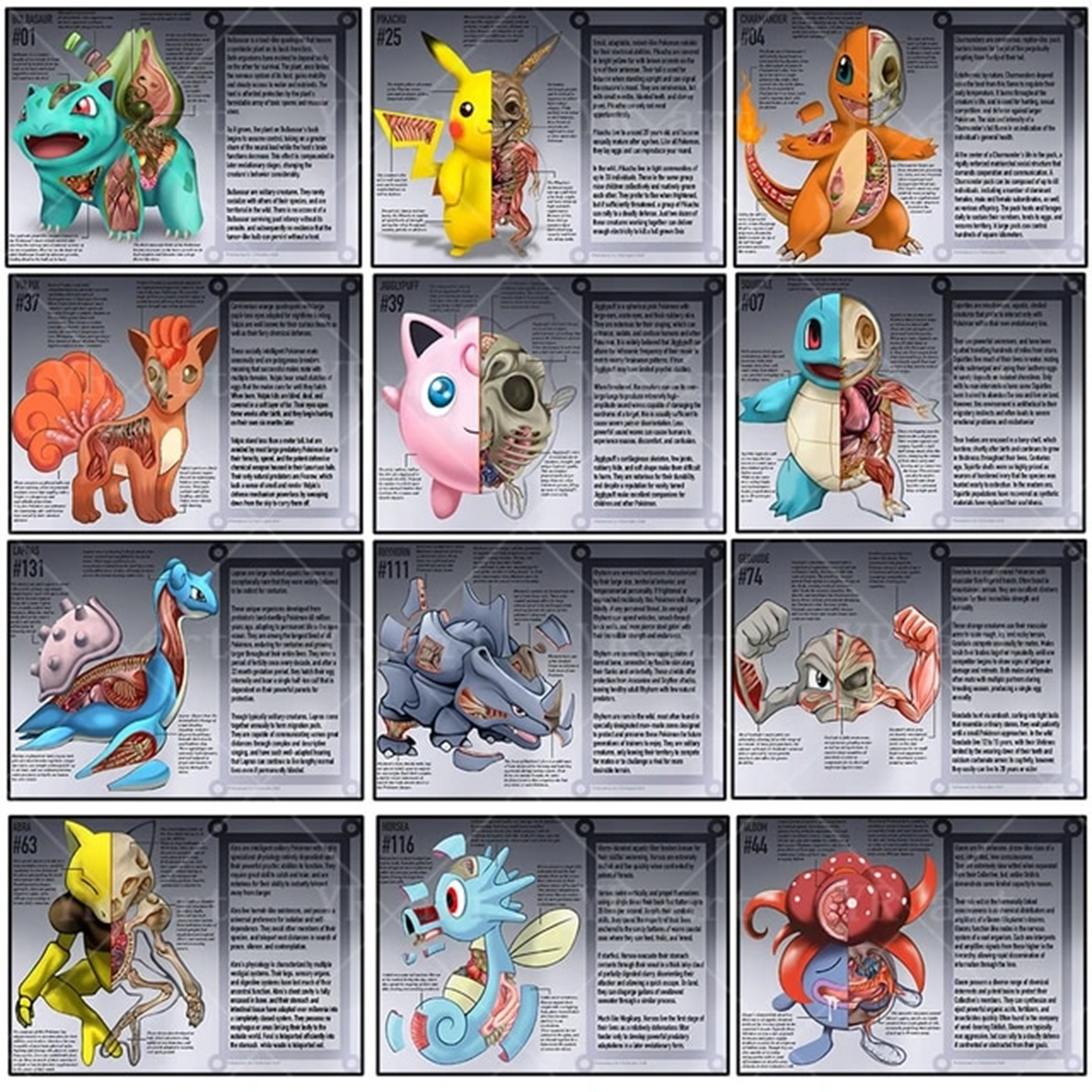 Pokemon Pokenatomy an Unofficial Guide Book Pokemon Gifts