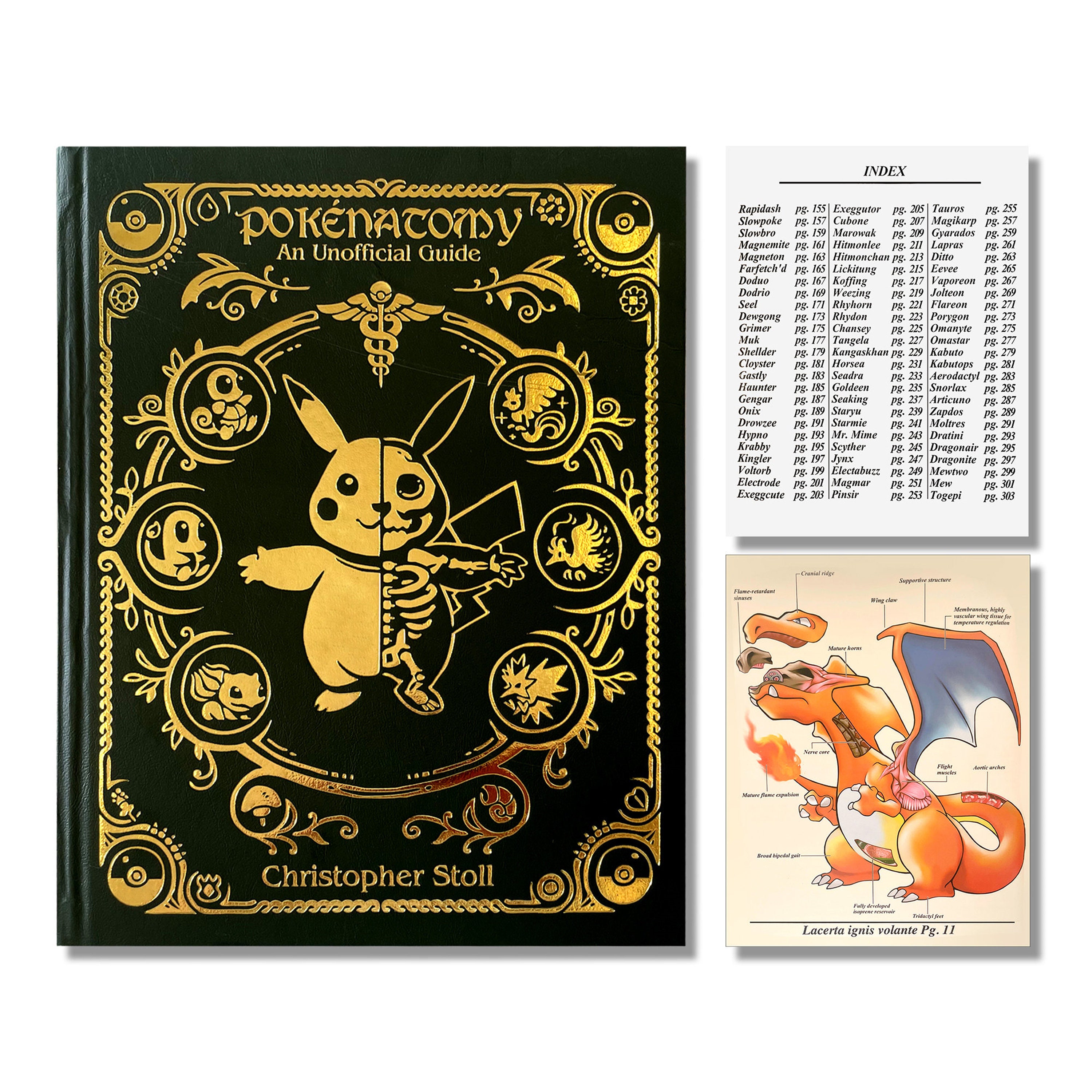 Pokemon Pokenatomy an Unofficial Guide Book Pokemon Gifts Pokemon