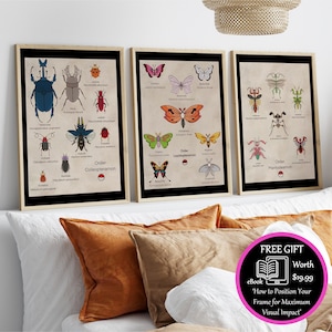Pokémon Entomologi Poster | Konsttryck med insekt, skalbagge och fjäril (digital nedladdning)