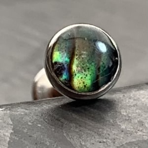 1 Piece Abalone Shell Steel Labret Internally Threaded Stud - 16g - Post Length 8mm or 10mm Available!