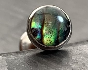 1 Piece Abalone Shell Steel Labret Internally Threaded Stud - 16g - Post Length 8mm or 10mm Available!