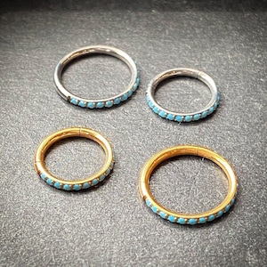 1pc Titanium Hinged Segment Ring Outer Turquoise Septum Hoop Helix Daith Jewelry