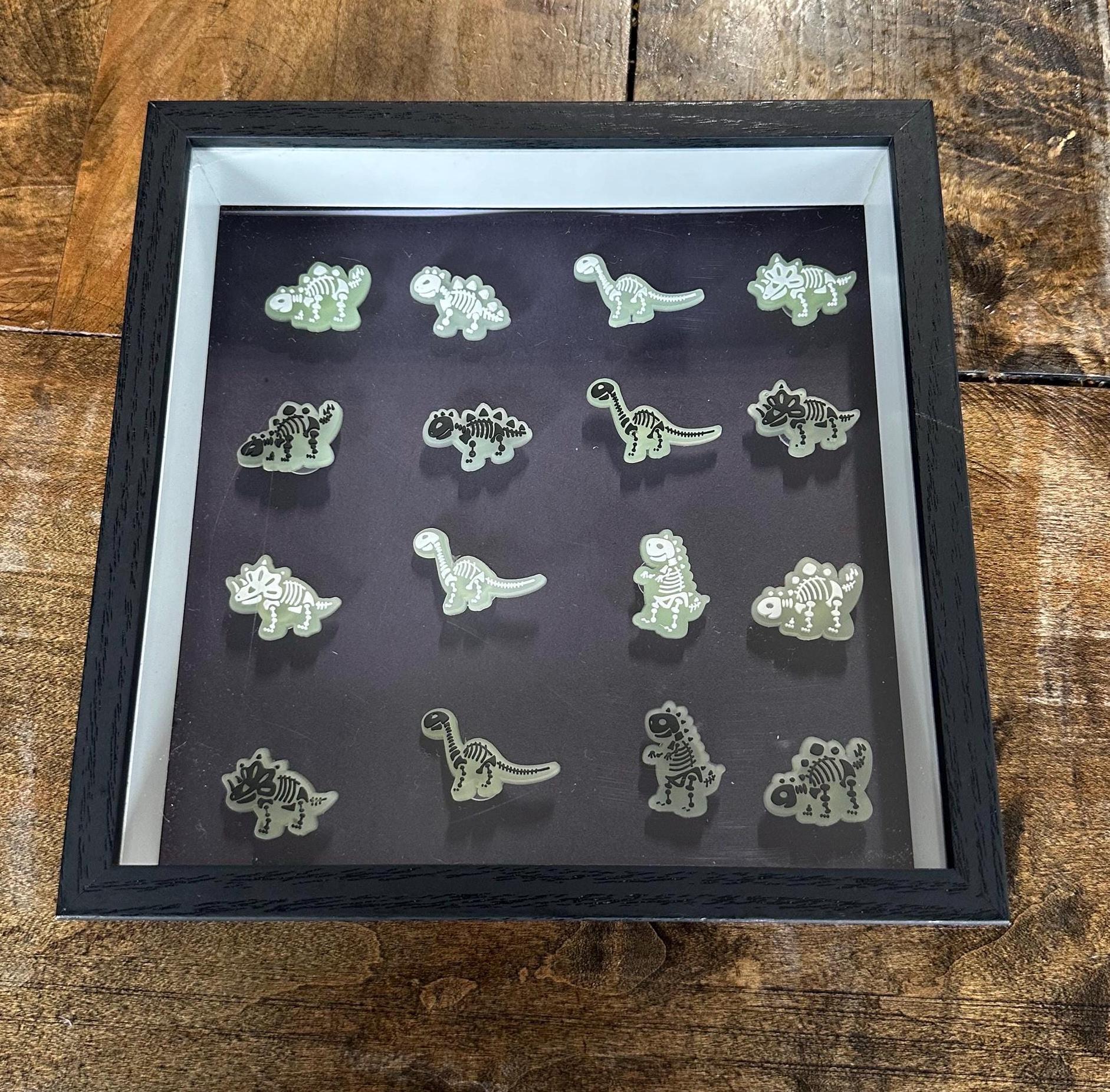 Dinosaur Bones Shadow Box - Room Decor - Etsy