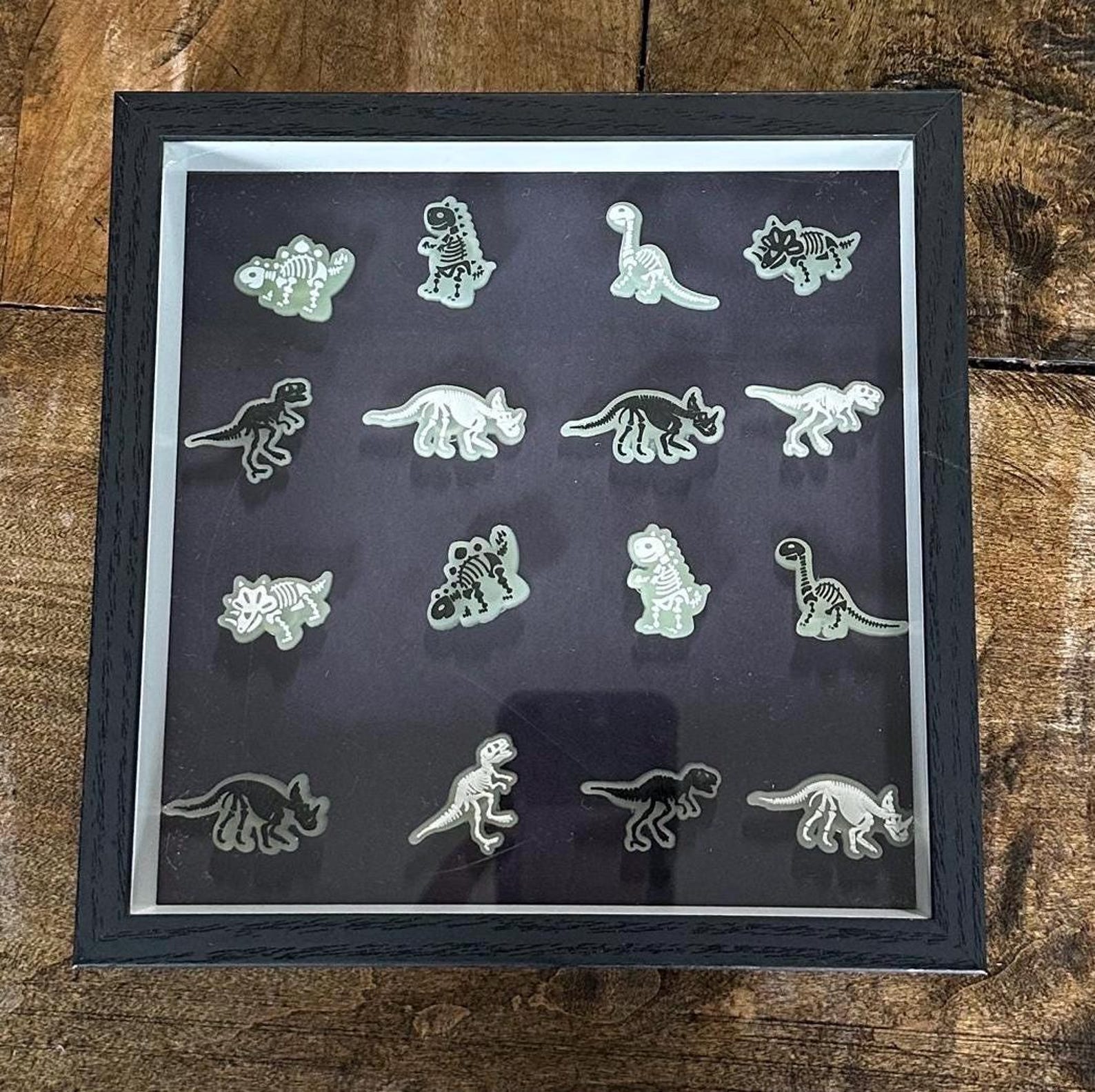 Dinosaur Bones Shadow Box - Room Decor - Etsy