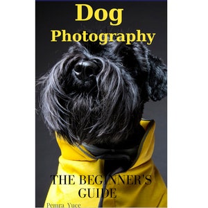 Pawsome Portraits E-Book: A Guide to Capturing the Beauty of Dogs Through Photography