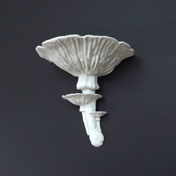 Amanita Fungus Organic Wall Shelf - Nature-Inspired Mushroom Design for Plants & Decor Display | 3D Printed Sustainable Design