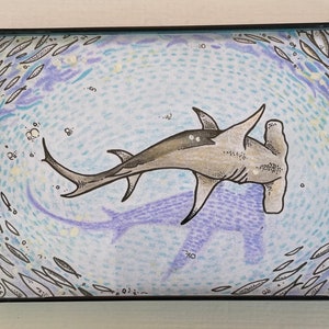 Hammerhead Shark drawing | Sea Art Print | Florida Art | Coastal Wall Decor | 4x6