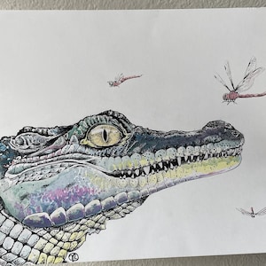 Alligator with Dragonflies | Alligator Animal Art Print | Florida Gator | Florida Art | Hand-drawn illustration | 8x10