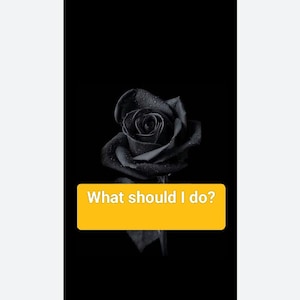 What Should i do Reading, Love Reading, Full Psychic Reading, 99% Accurate Reading With Full Satisfaction, Send Dob & Full Name