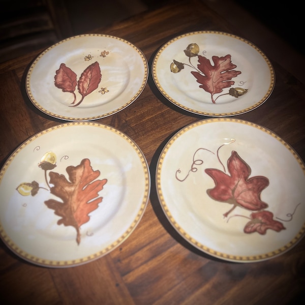 Crate and Barrel Salad Plates Etsy