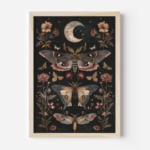 May include: A framed print with a dark background featuring a crescent moon and three moths with intricate details. The moths are surrounded by delicate flowers and leaves in shades of pink and brown.