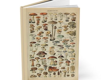 Hardcover Pilz Notizbuch Mushroom Lovers Blank Lined Journal Für wiederkehrende Schüler und Lehrer
