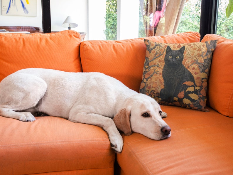 Pu&ograve; includere: Un cane bianco &egrave; sdraiato su un divano arancione. Il cane sta guardando a destra. Un cuscino con un gatto nero su sfondo dorato &egrave; sul divano dietro il cane.
