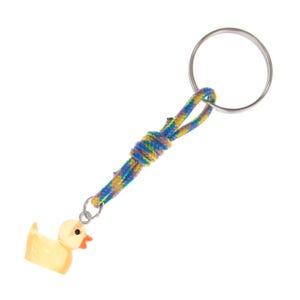 Badeendprogrammering, grappig programmeercadeau. Gele rubberen duckie-sleutelhanger. Cadeaus voor computerprogrammering, foutopsporing en codering afbeelding 13