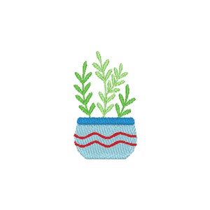 以下が含まれることがあります： 青と赤のストライプの鉢に入った緑の葉を持つ小さな鉢植えの植物