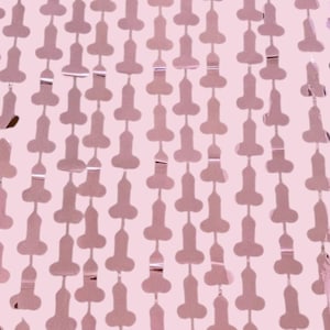 Easy Hang Bachelorette Party Tinsel Curtains: Glam Party Decor Bach Party Decoration, Girls Weekend Decor