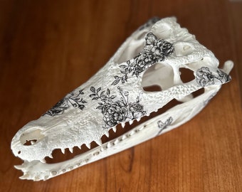 Echter Alligator Schädel mit Filigranarbeit