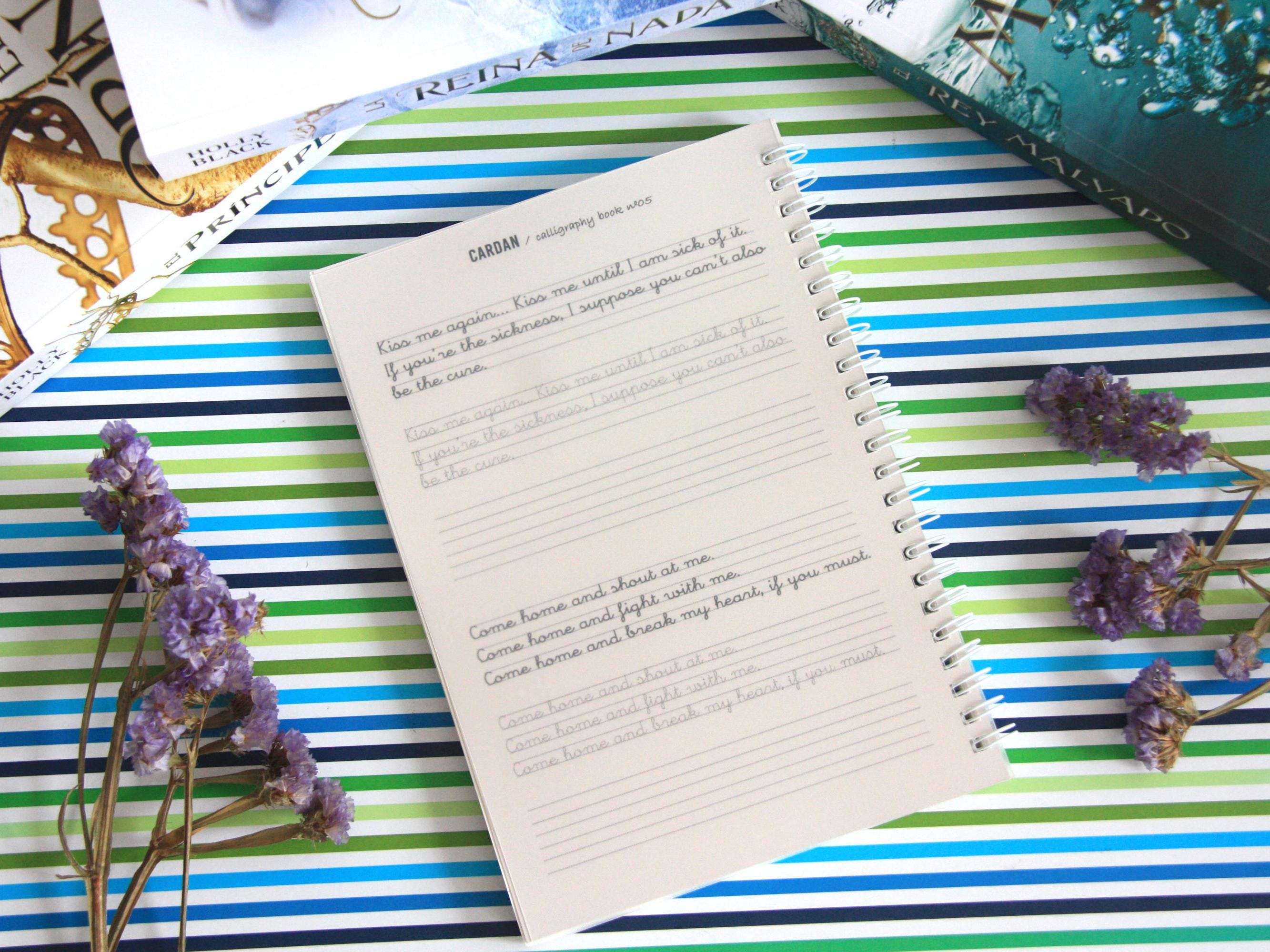 The cruel prince notebook Folk of the air Jude and Cardan