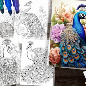 150 Peacock Coloring Pages – Detailed Designs for Adults & Kids (PDF ...