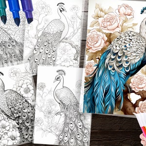 150 Peacock Coloring Pages – Detailed Designs for Adults & Kids (PDF ...