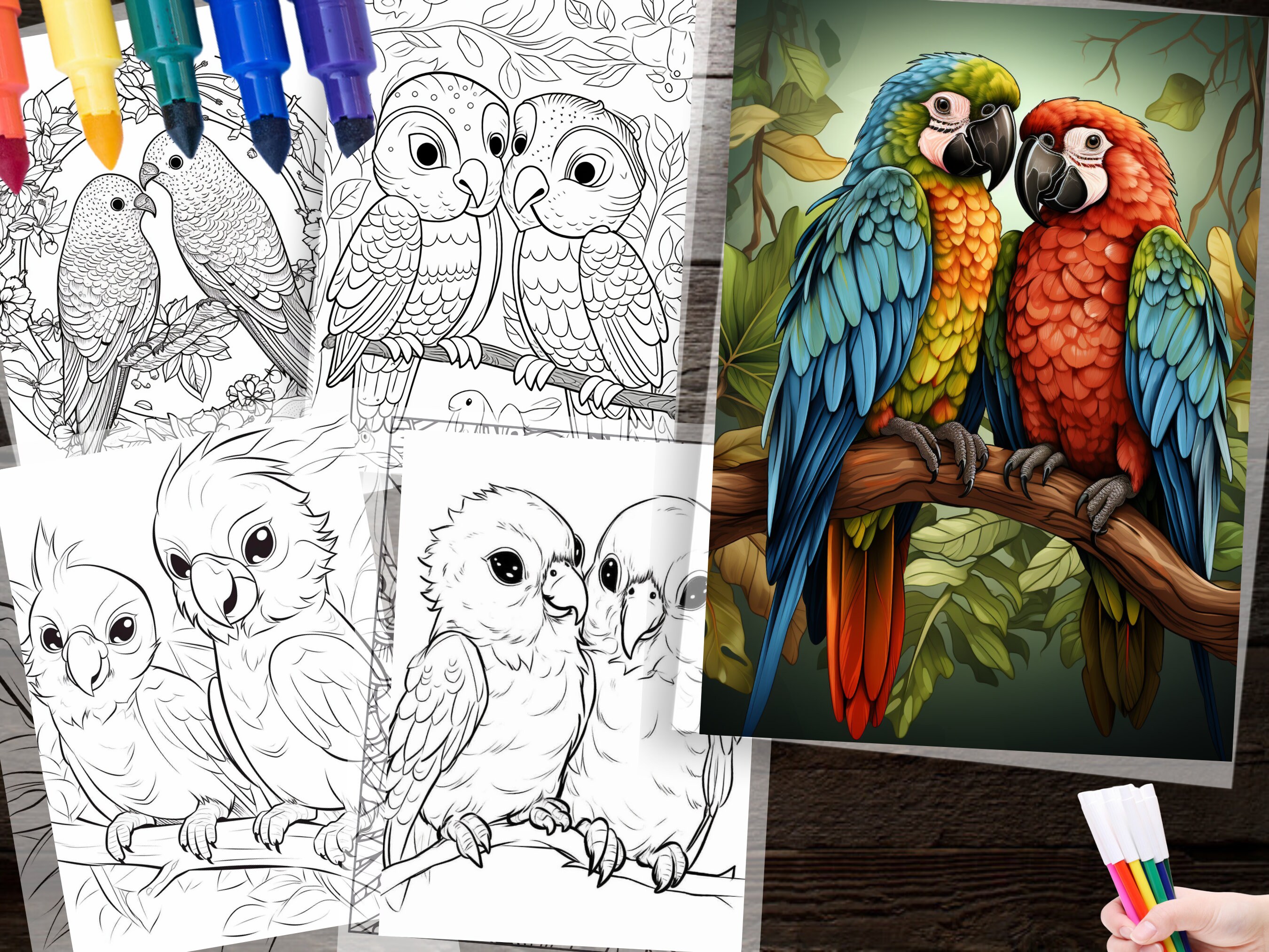 50 Cute Lovebird Coloring Page Printable Instant Download for ...