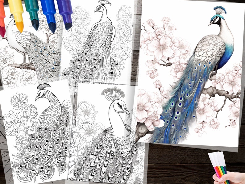 150 Peacock Coloring Pages – Detailed Designs for Adults & Kids (PDF ...