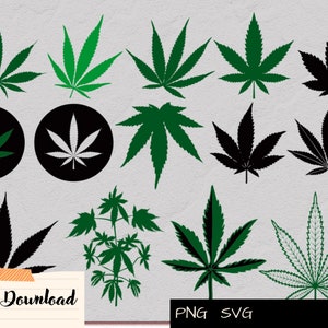 Puede incluir: Un conjunto de 13 archivos de descarga digital que presentan varias ilustraciones de hojas de cannabis negras y verdes. Las ilustraciones incluyen diferentes estilos y tamaños de hojas de cannabis, incluyendo una sola hoja, un grupo de hojas y una planta de cannabis. El texto "PNG SVG" está incluido en la imagen.