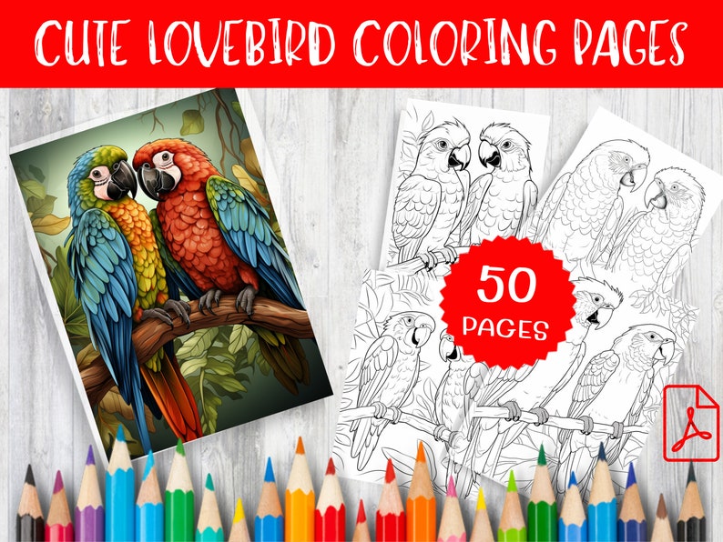 50 Cute Lovebird Coloring Page Printable Instant Download for ...
