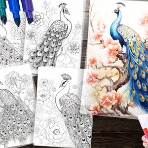 150 Peacock Coloring Pages – Detailed Designs for Adults & Kids (PDF ...