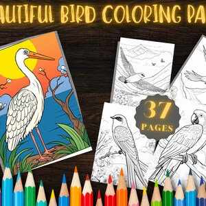37 Beautiful Bird Coloring Pages - Delightful Designs for Relaxation & Creativity - Printable Art Therapy for All Ages - Digital Download