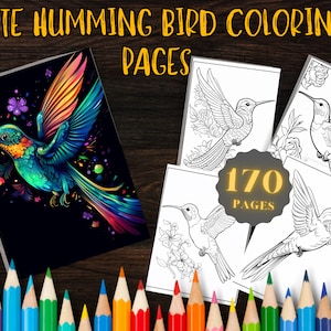 170 skurrile Kolibri-Malvorlagen – bezaubernde Designs für Entspannung und Kreativität – sofortiger Download – druckbarer Spaß für alle Altersgruppen