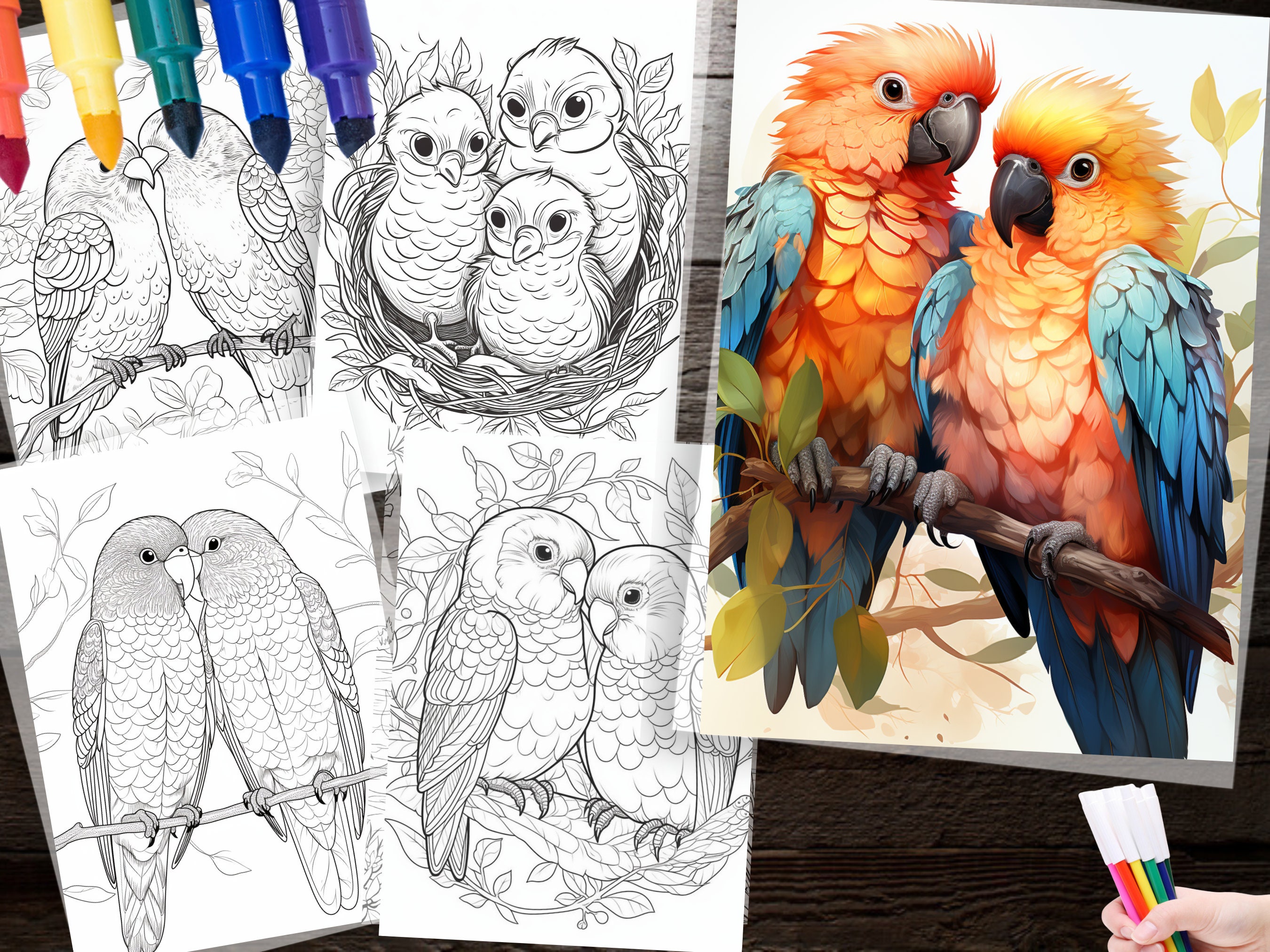 50 Cute Lovebird Coloring Page Printable Instant Download for ...
