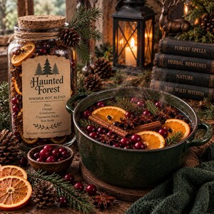 May include: A glass jar with a cork lid labeled Haunted Forest Simmer Pot Blend containing dried orange slices, cranberries, and pine, next to a dark green pot filled with a steaming mixture of orange slices, cranberries, and star anise.