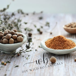 May include: Two light green ceramic bowls containing whole brown allspice berries and ground brown allspice powder. The text "wb DIY WILD BOTANICALS" is printed in black script and sans-serif font across the center of the image.