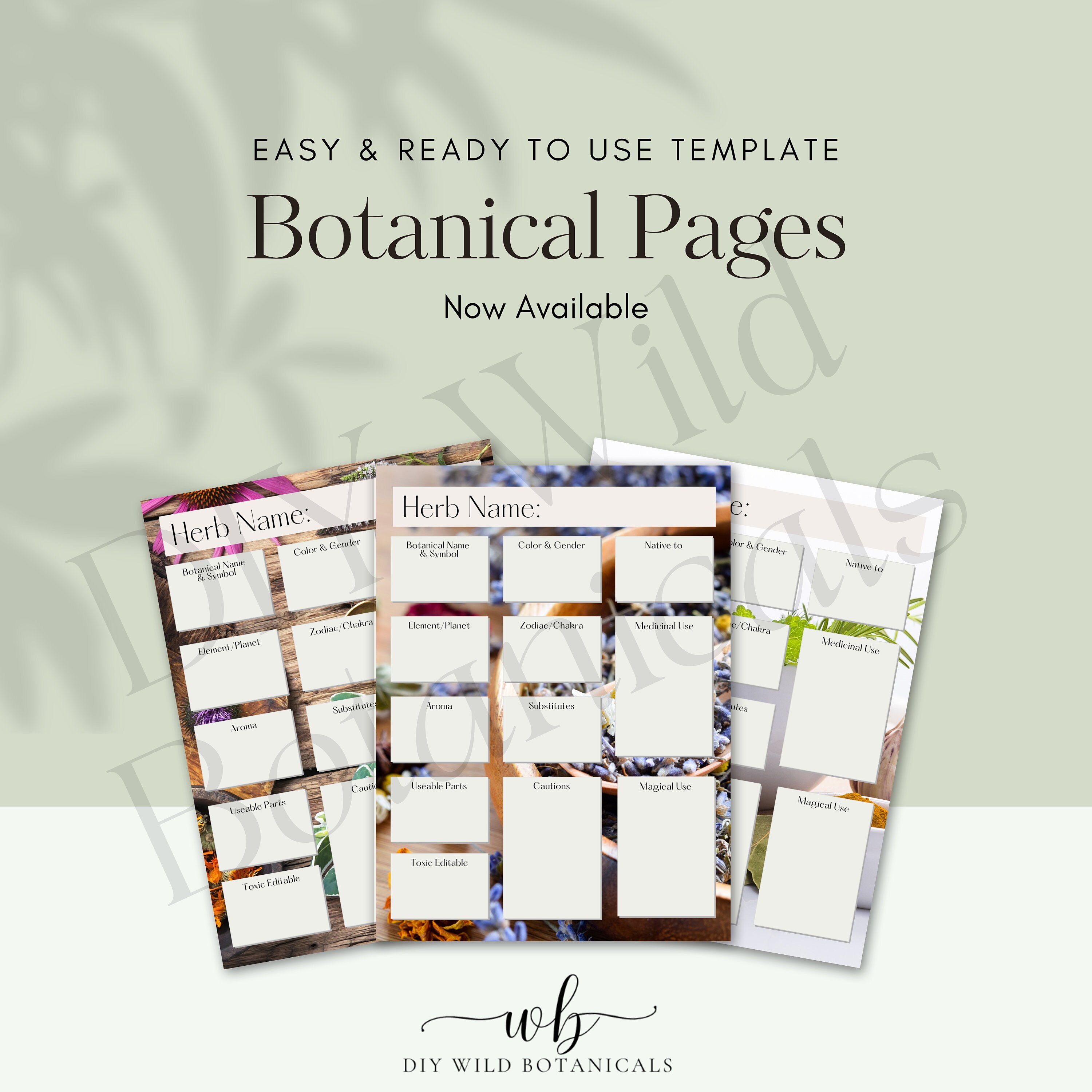 Herbal Printable Forms, Botanical Worksheets, Herb Recipes, Green Witch ...