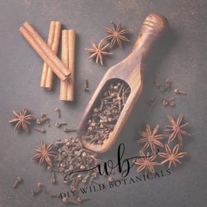 May include: A wooden scoop filled with dark brown cloves, surrounded by scattered star anise and cinnamon sticks. The text WB DIY WILD BOTANICALS is printed in black script and sans-serif font over the spices on the dark brown surface.