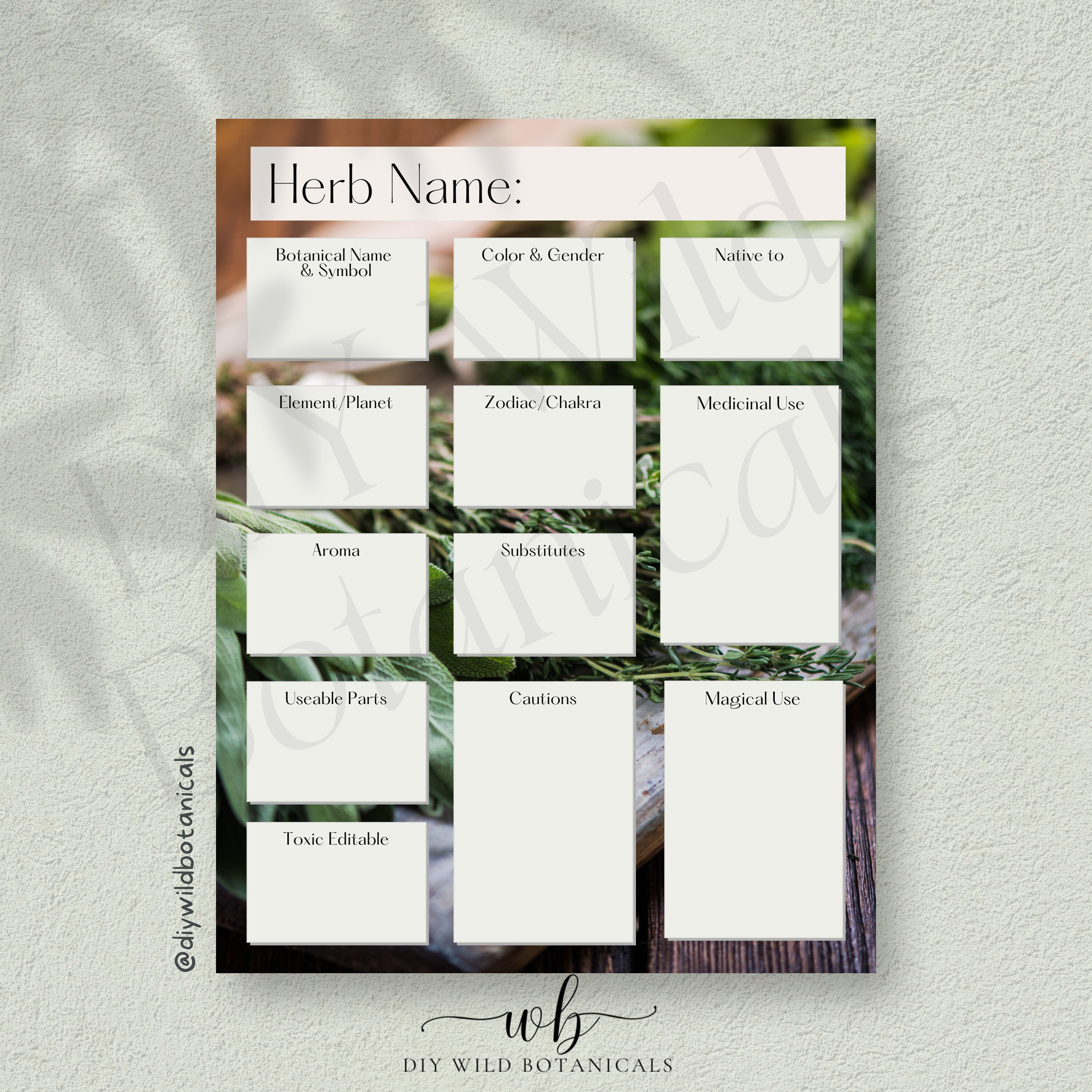 Herbal Printable Forms, Botanical Worksheets, Herb Recipes, Green Witch ...