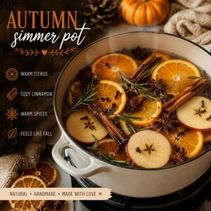 Autumn Stovetop Potpourri Kit Cozy Dried Fruit Herbs Spices Natural Home Fragrance Eco-Friendly Housewarming Gift Aromatherapy Apple Orange