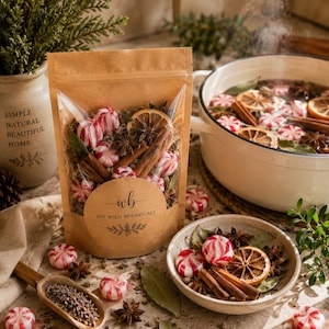 May include: A brown paper pouch labeled DIY WILD BOTANICALS with wb logo, containing dried orange slices, cinnamon sticks, star anise, and red and white striped candies. A white pot with steaming liquid and similar ingredients sits nearby.