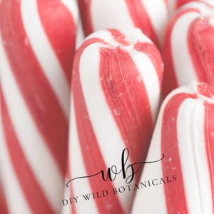 May include: A collection of cylindrical peppermint candies featuring a classic red and white diagonal striped pattern. The image includes the black text overlay wb DIY WILD BOTANICALS centered over the smooth, glossy surface of the candy sticks.