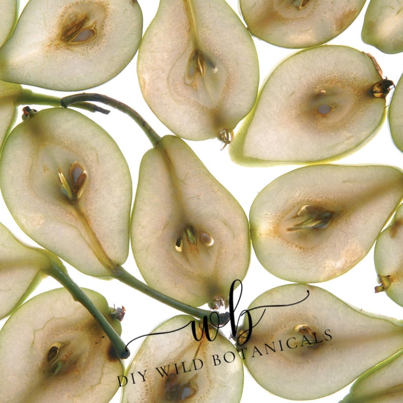 K&ouml;nnte beinhalten: Nahaufnahme von Birnenscheiben, die den Kern und die Kerne zeigen. Die Birnenscheiben sind durchscheinend und haben eine hellgr&uuml;ne Farbe. Das Bild enth&auml;lt den Text "DIY WILD BOTANICALS" in einer kursivschrift.