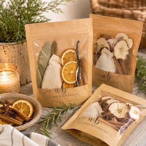 May include: Three brown kraft paper pouches labeled DIY WILD BOTANICALS containing dried orange slices, cinnamon sticks, bay leaves, and small muslin bags. One pouch features dried apple slices and star anise, with a bowl of similar ingredients.