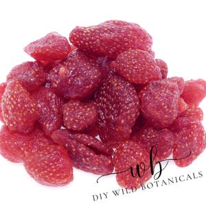 May include: A pile of dried strawberries, showcasing a deep red hue and visible seeds. The image is set against a white background, highlighting the texture and shape of the fruit. The text "DIY WILD BOTANICALS" is visible in the bottom right corner.